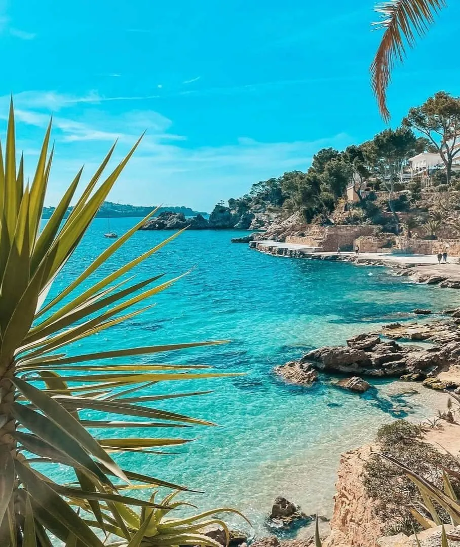 Pegera, Maiorca Pegera, Maiorca