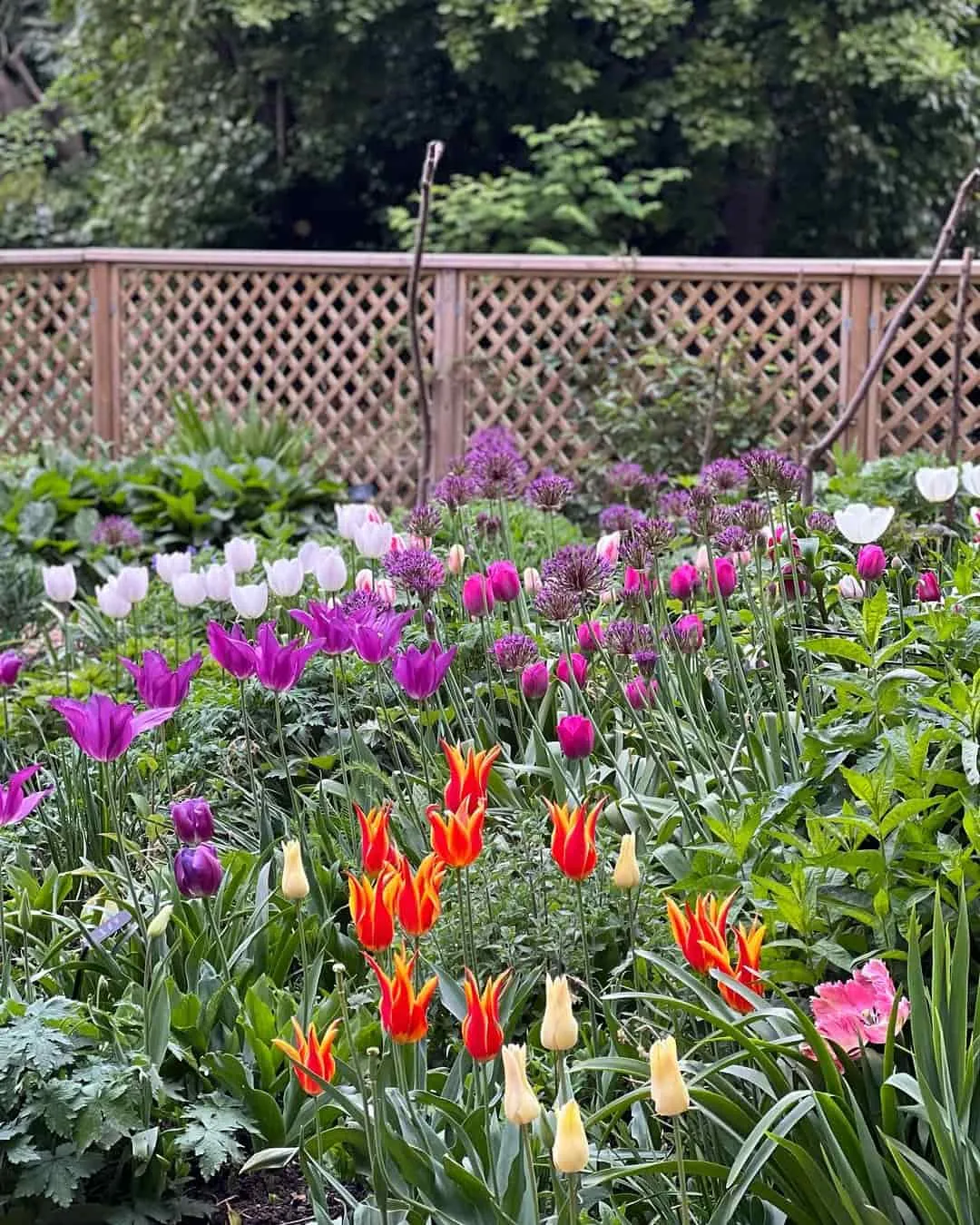 Parco di San Giacomo Parco di San Giacomo