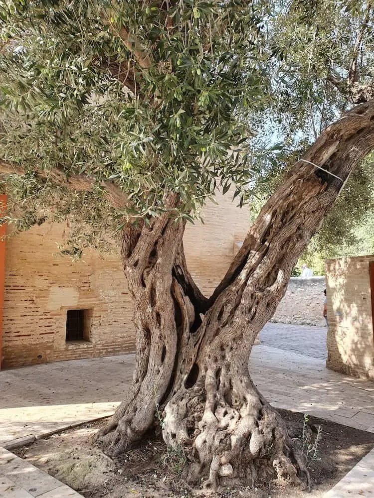 Marxalenes Park Marxalenes Park