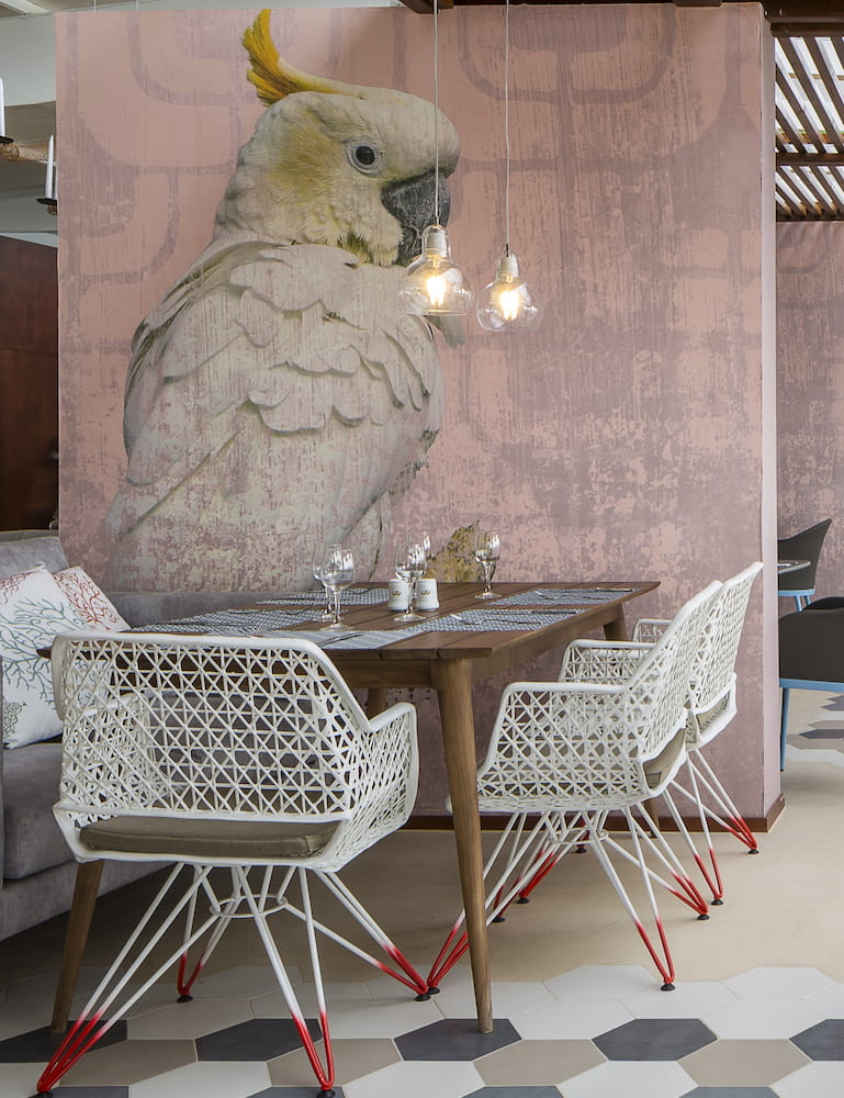 Grand Palladium White Island Resort & Spa Grand Palladium White Island Resort & Spa