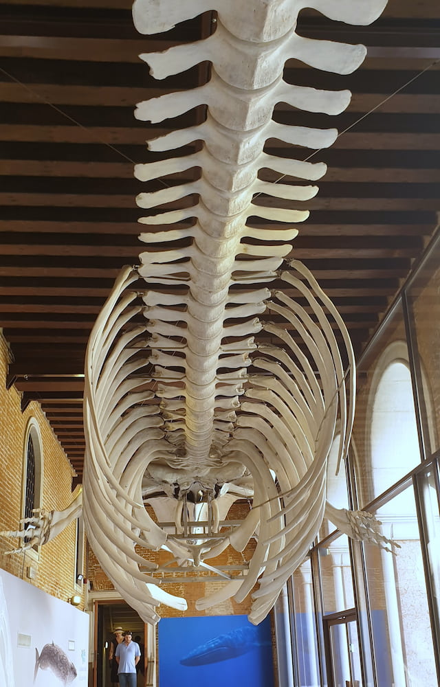 Natural History Museum Natural History Museum