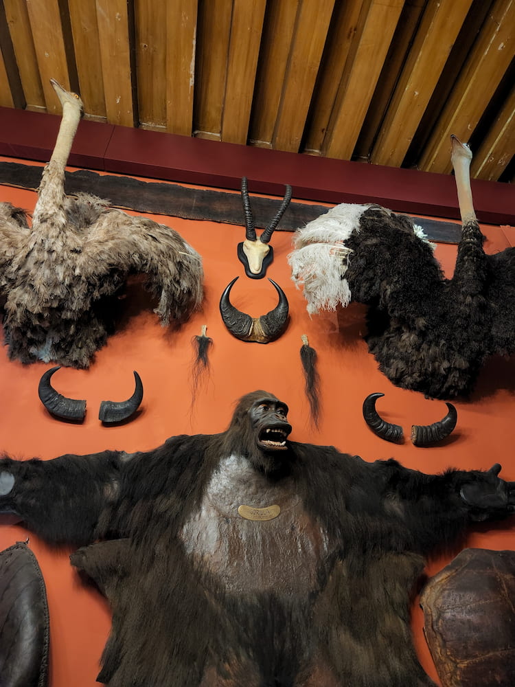 Natural History Museum Natural History Museum