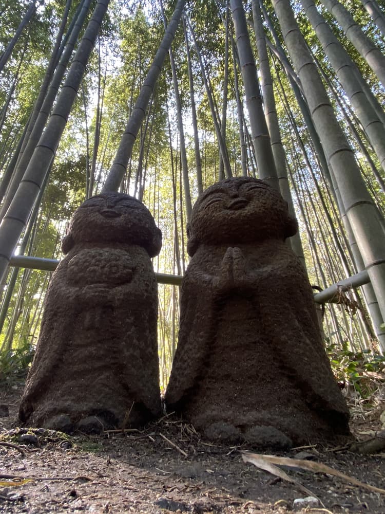 Foresta di bambù Foresta di bambù