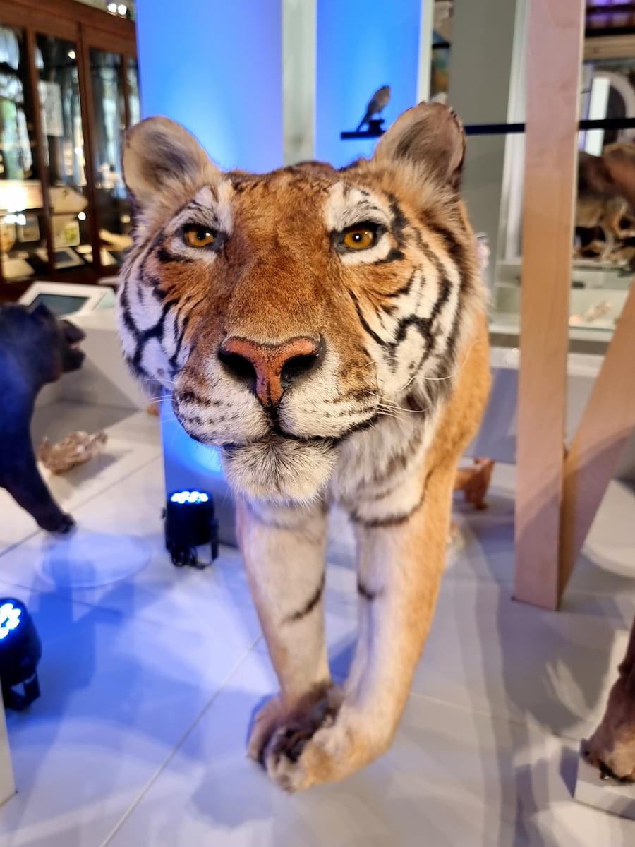 Natural History Museum of Marseille Natural History Museum of Marseille