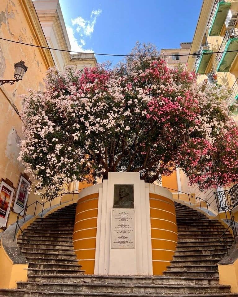 Bastia, Corse, France