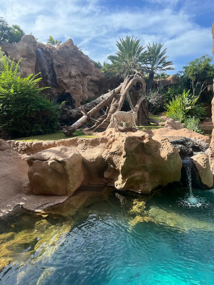 Loro Parque Loro Parque