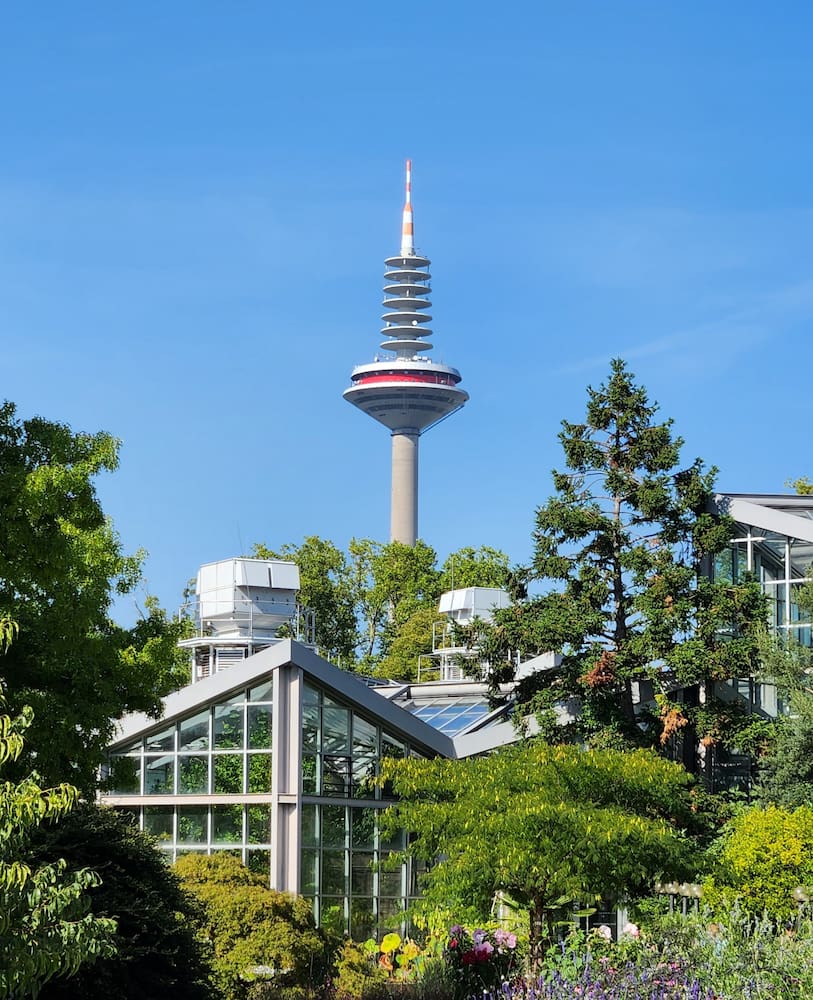 Palmengarten Palmengarten