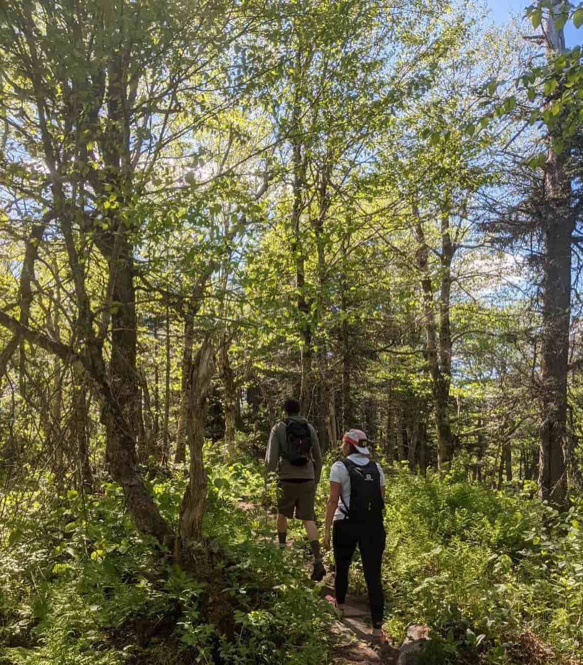 activities in Ajaccio, Corse, France