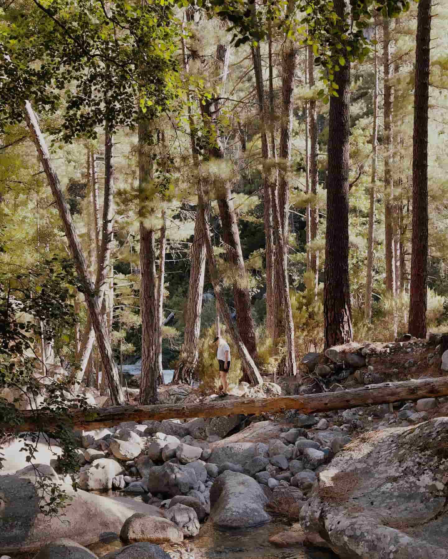 Hiking Corte, Corse, France