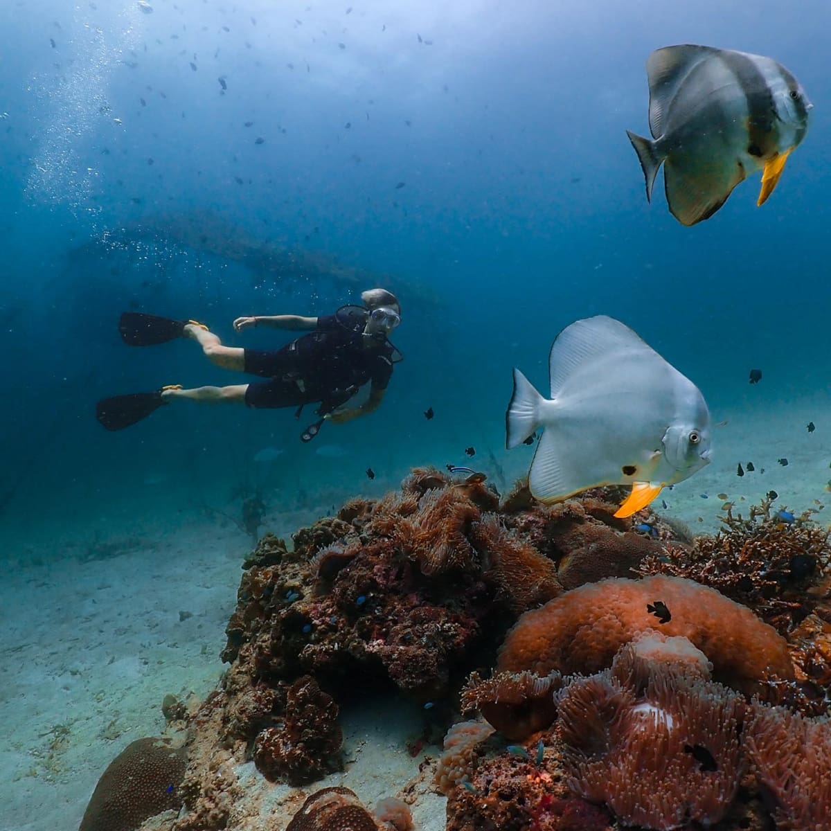 Phi Phi Islands Krabi