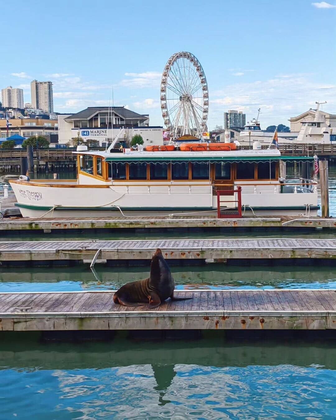 FW3 Fisherman’s Wharf