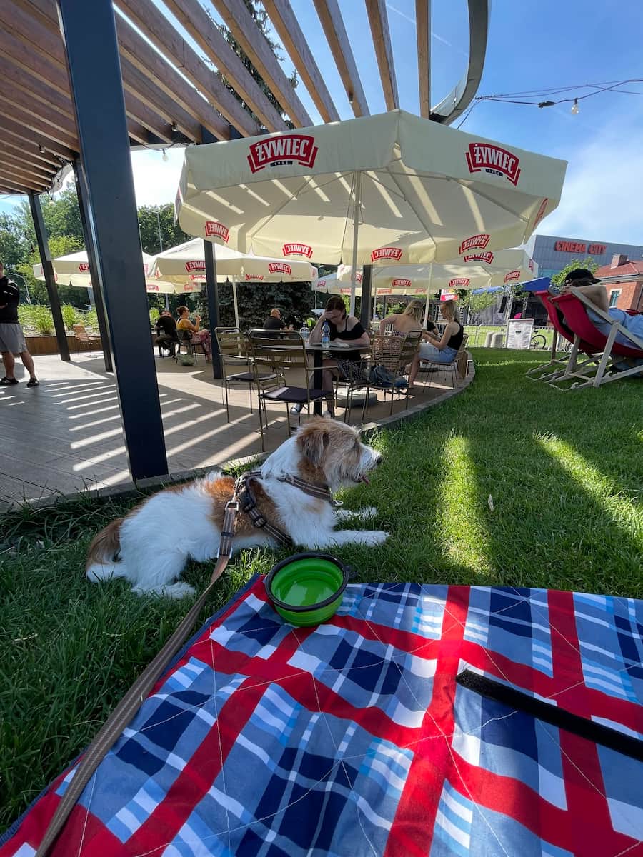 Grzegórzki, Krakow Grzegórzki, Krakow