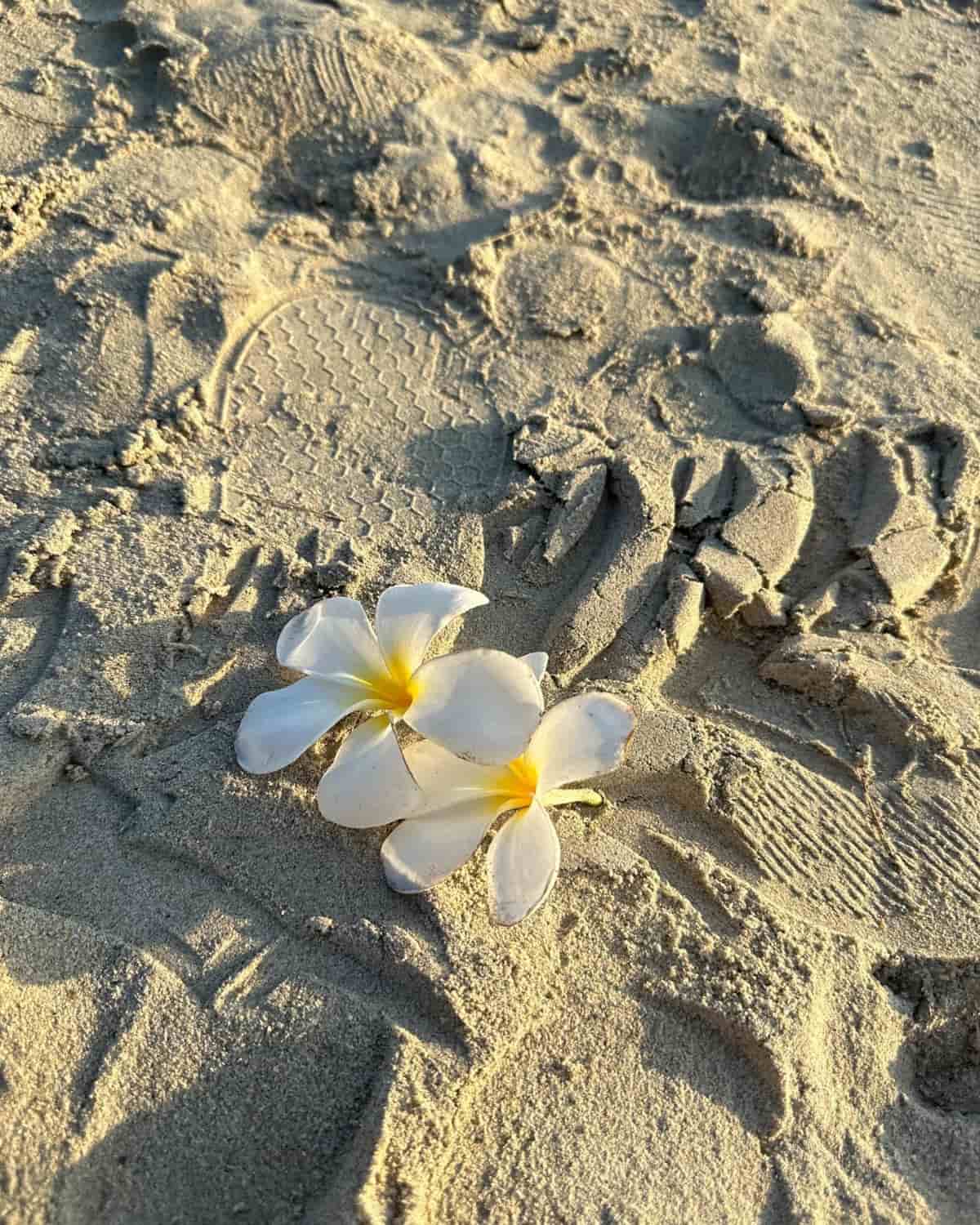 Spiaggia di Karon, Phuket Spiaggia di Karon, Phuket