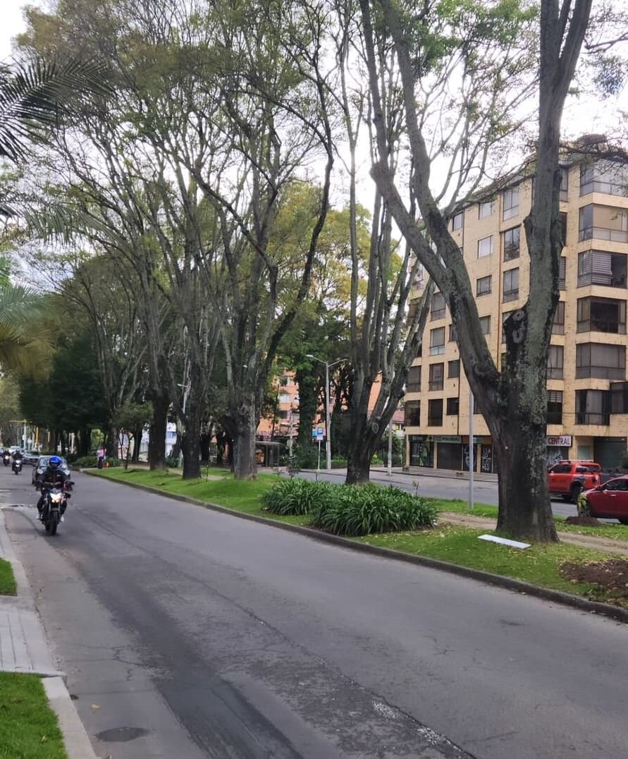 El Chico / Parque 93