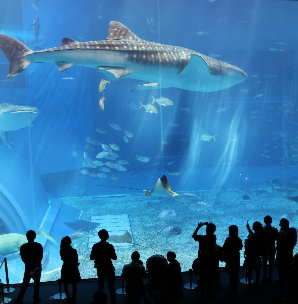 Northern Okinawa Northern Okinawa