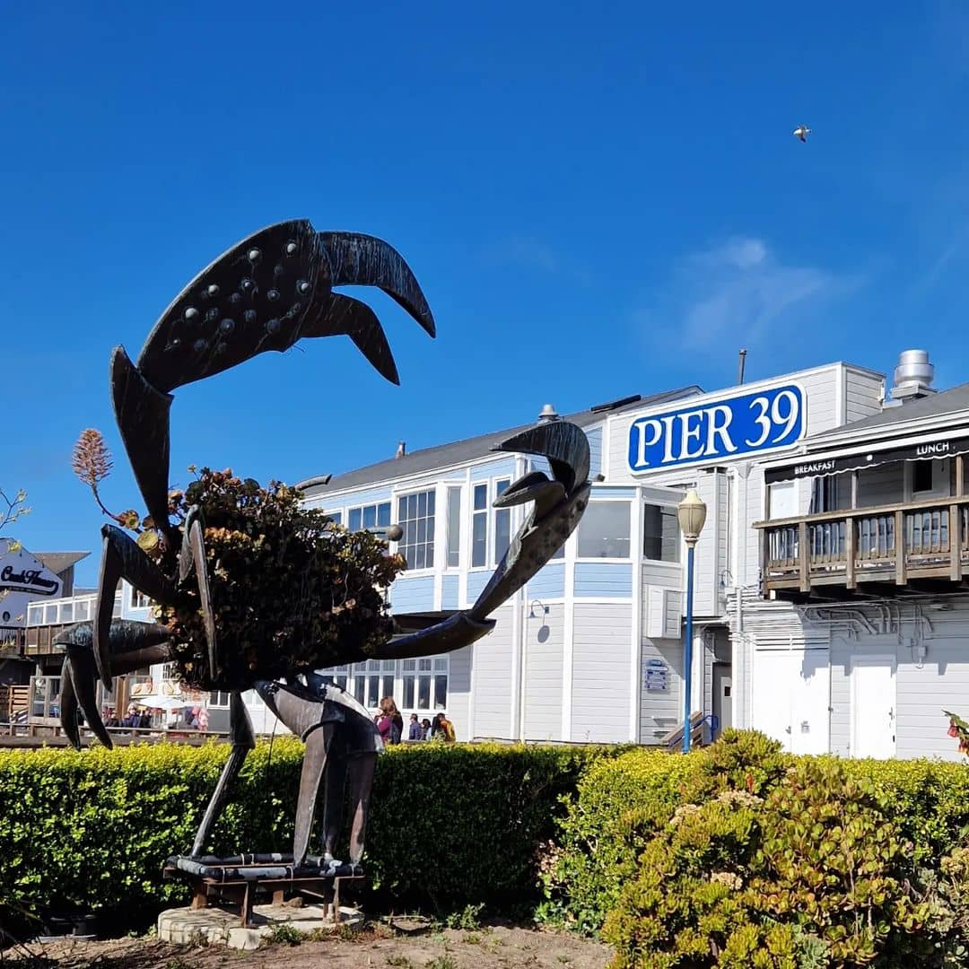 Pier 39 Pier 39