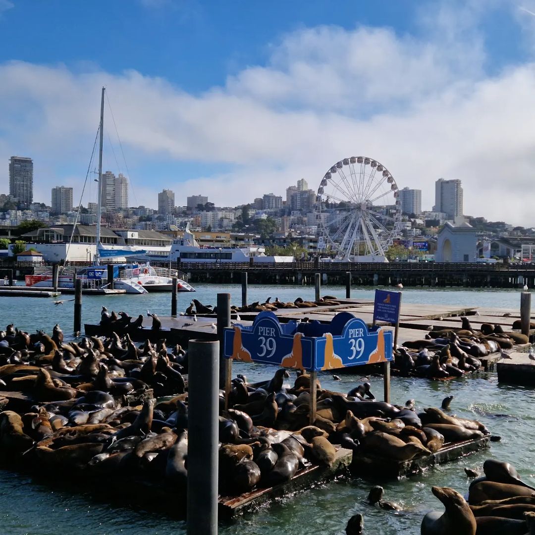 Pier 39 Pier 39