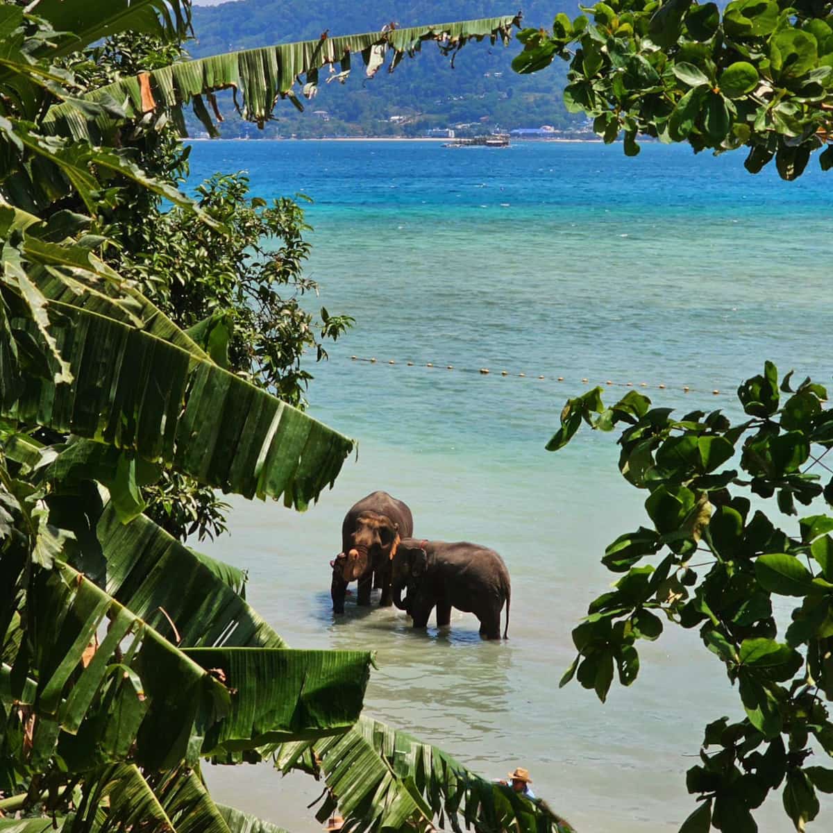 Patong Beach, Phuket Patong Beach, Phuket