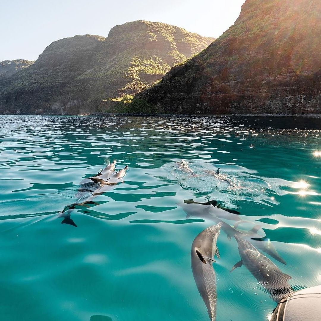 Lihue, Kauai Lihue, Kauai