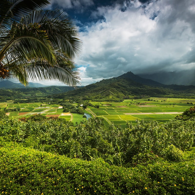 Princville,Kauai Princville,Kauai