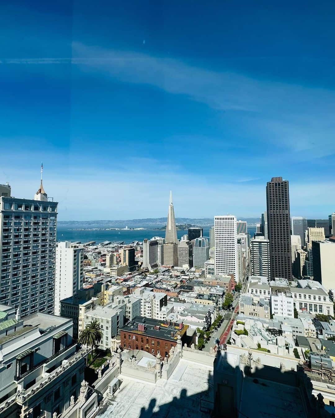 Top of the Mark TopOfTheMark