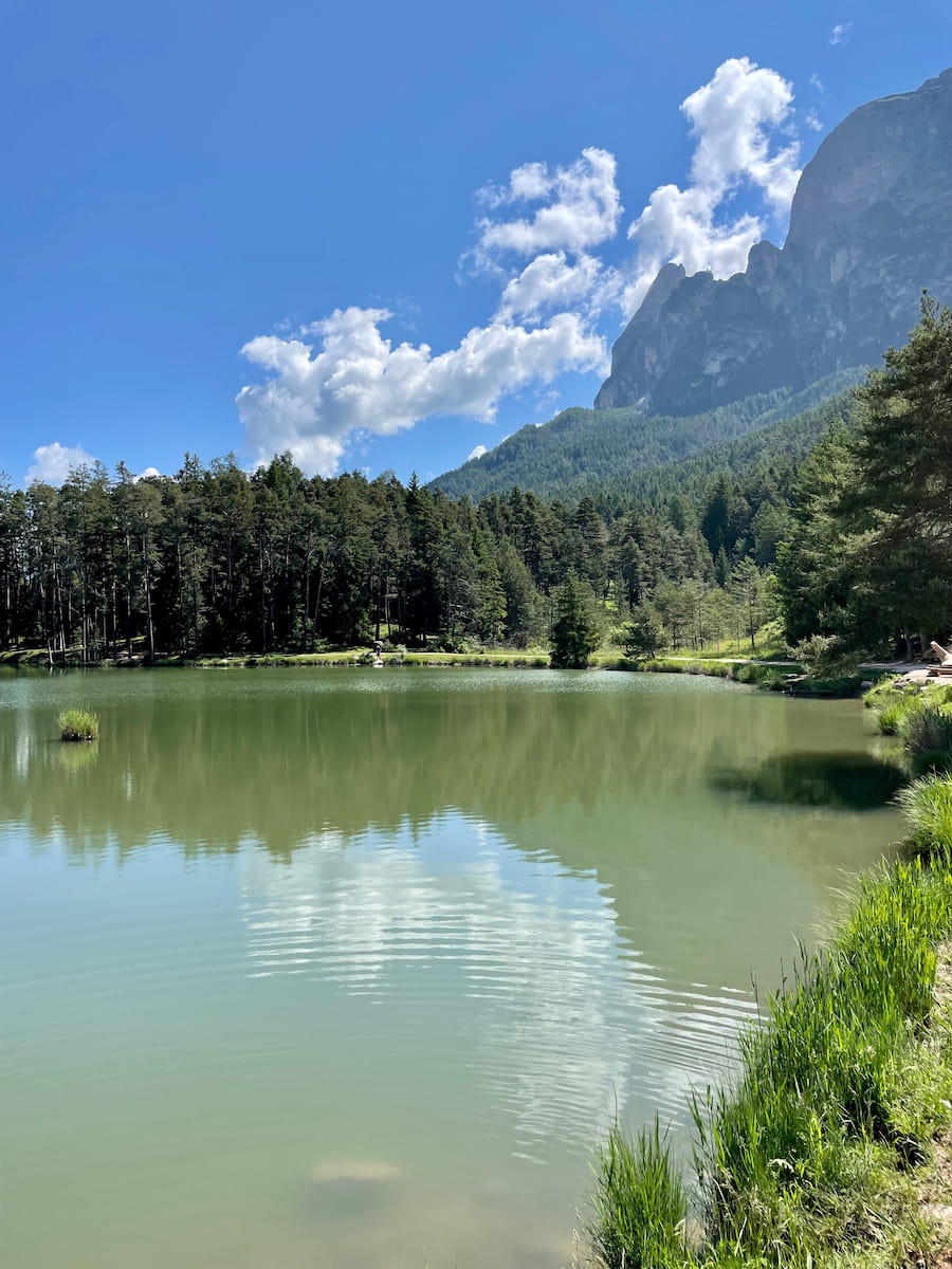 Alpe di Siusi, Dolomites Alpe di Siusi, Dolomites