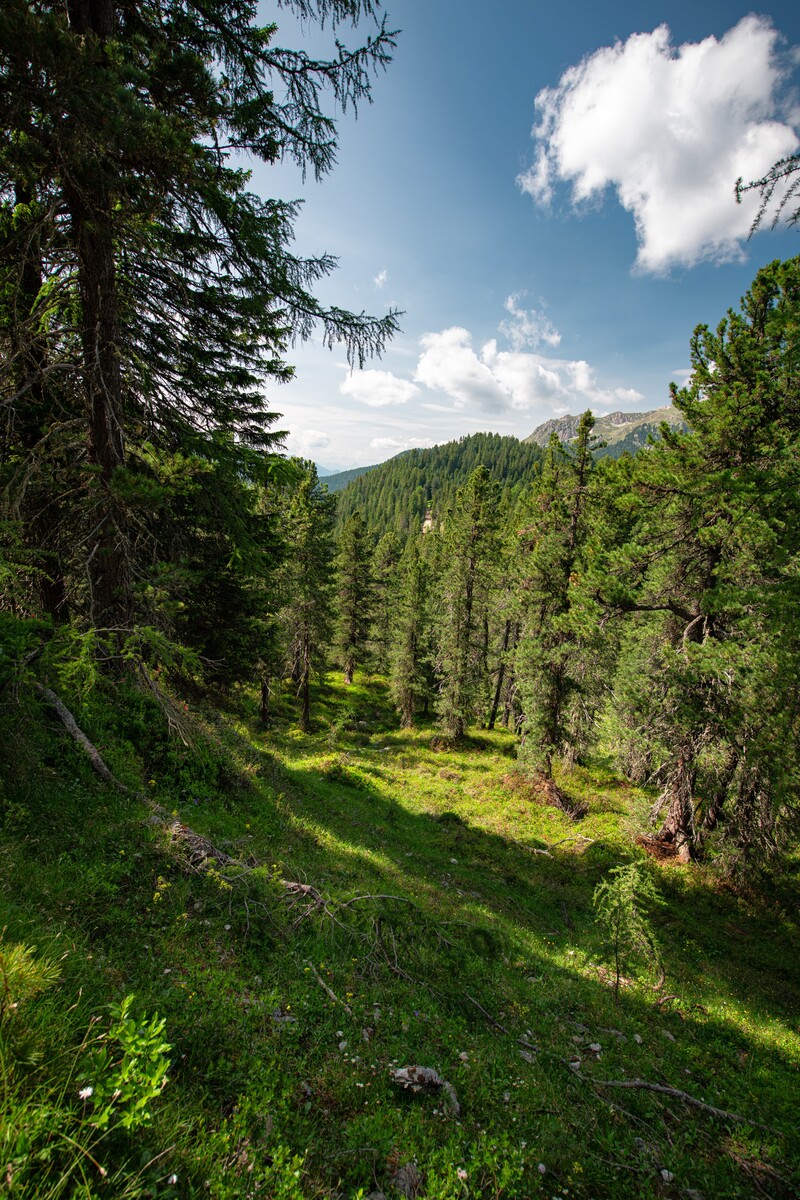 Val di Funes, Dolomites Val di Funes, Dolomites