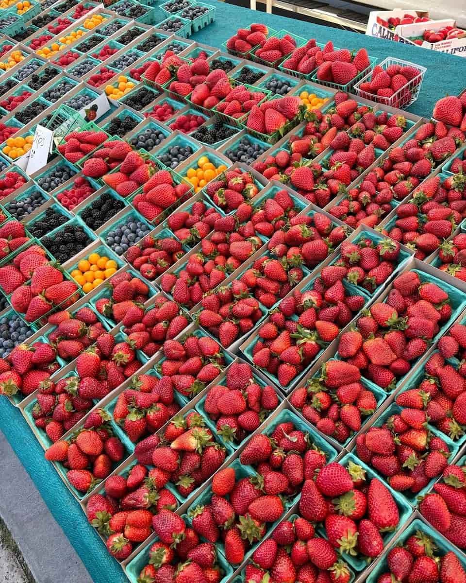 Market3 Ocean Beach Farmers Market