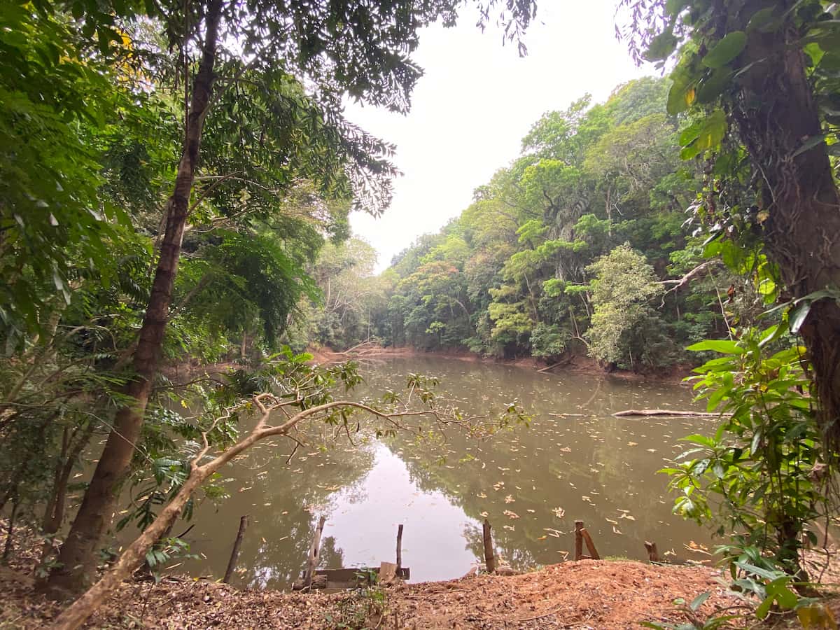 Udawattekele Sanctuary