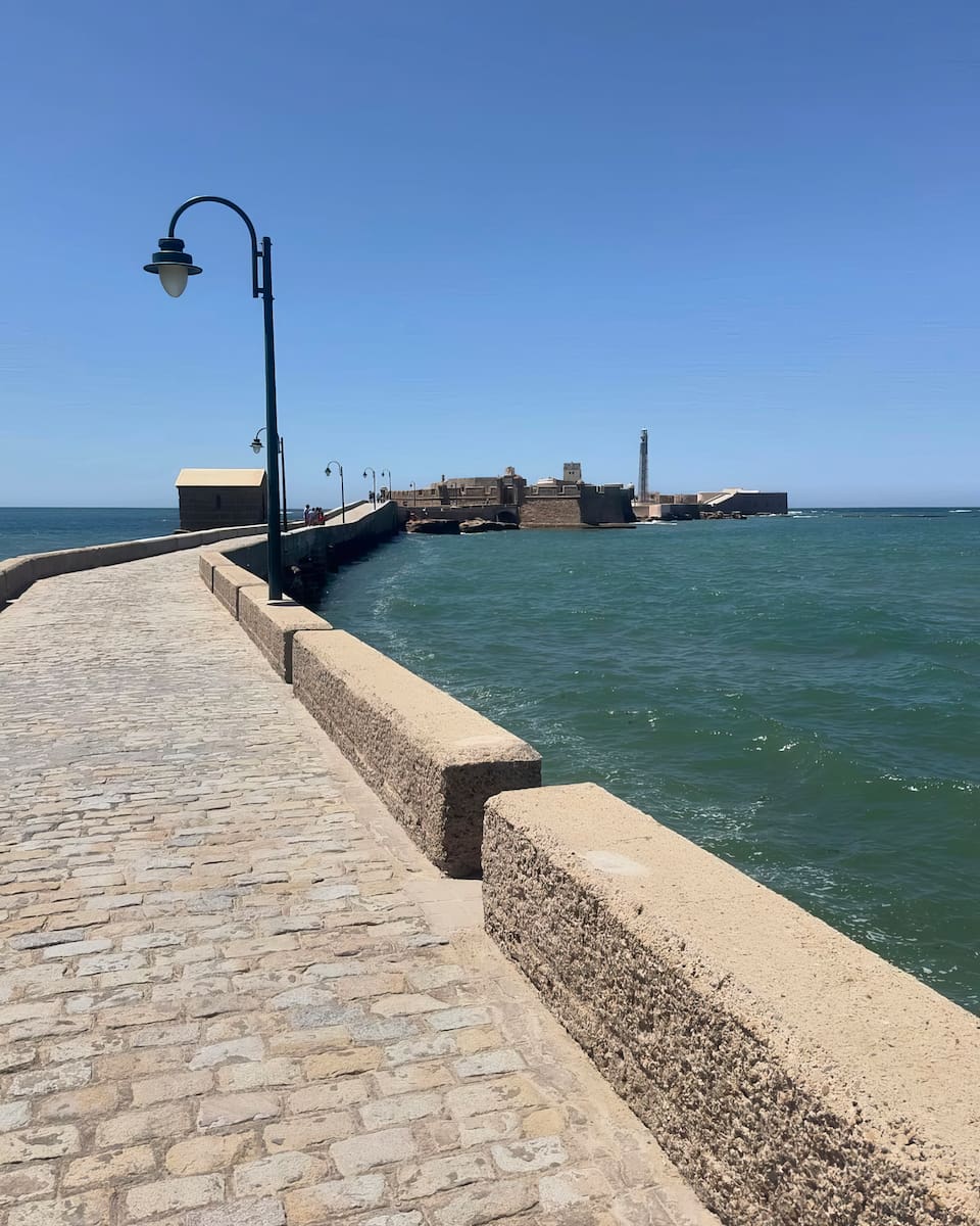 San Carlos San Carlos