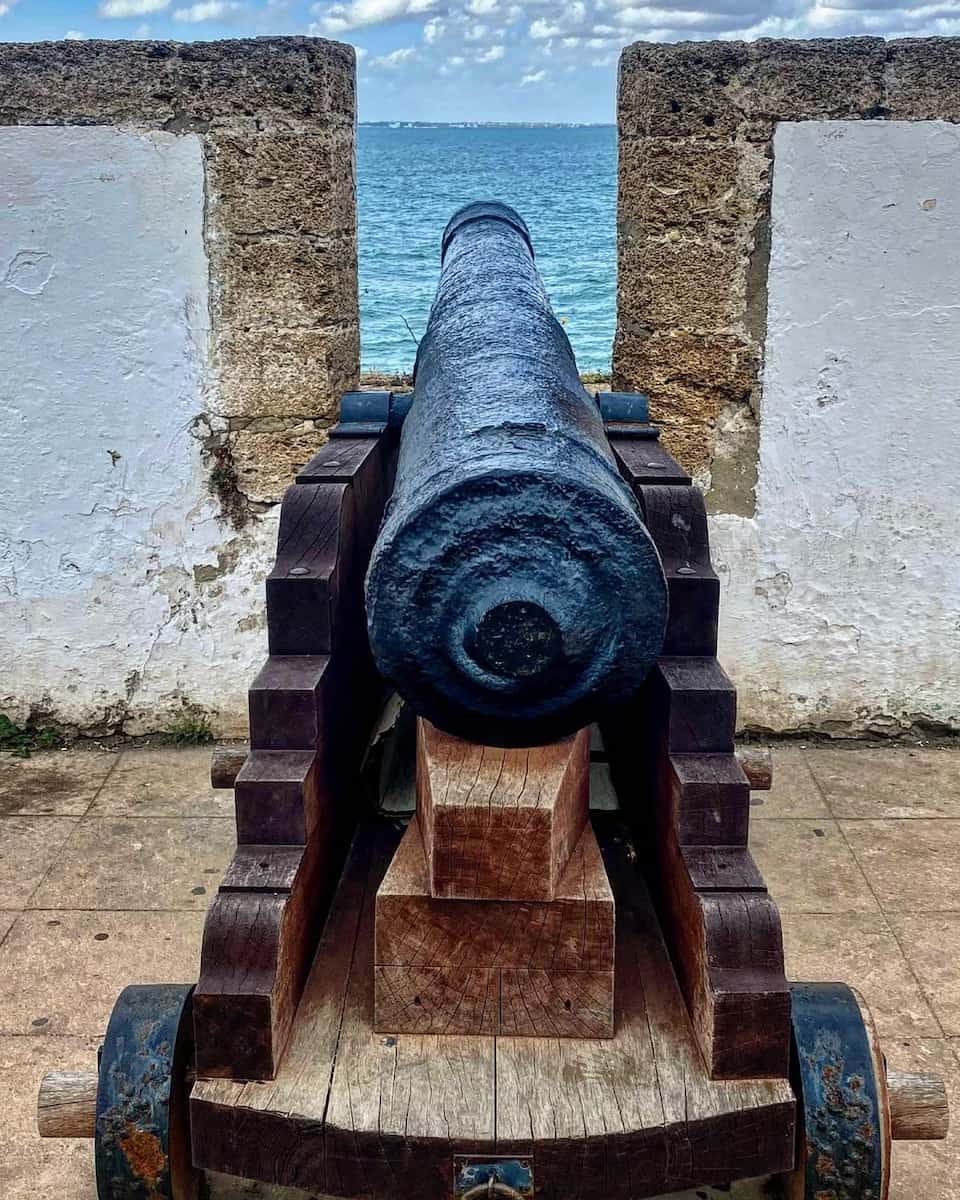 San Carlos San Carlos