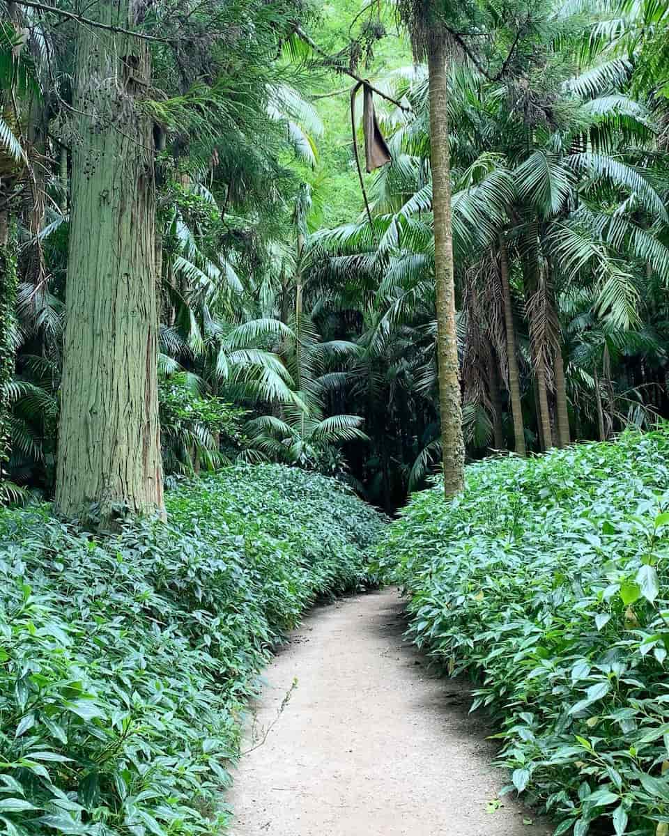 Azores, Sao Miguel Furnas Azores, Sao Miguel Furnas