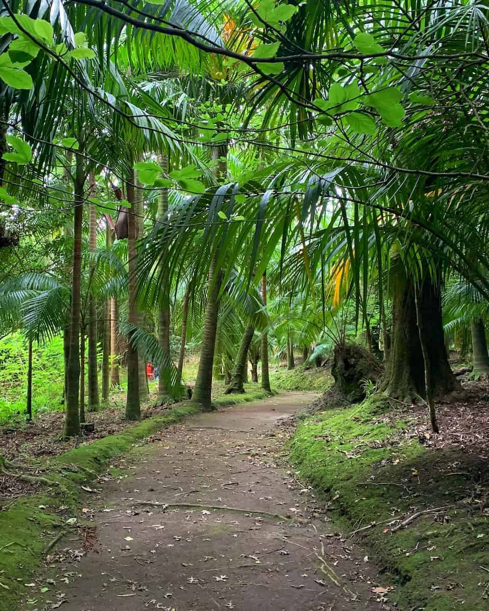 Azores, Sao Miguel Furnas Azores, Sao Miguel Furnas