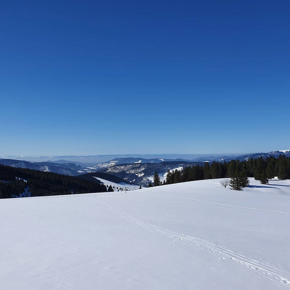 Germany, Black Forest: Feldberg Germany, Black Forest: Feldberg