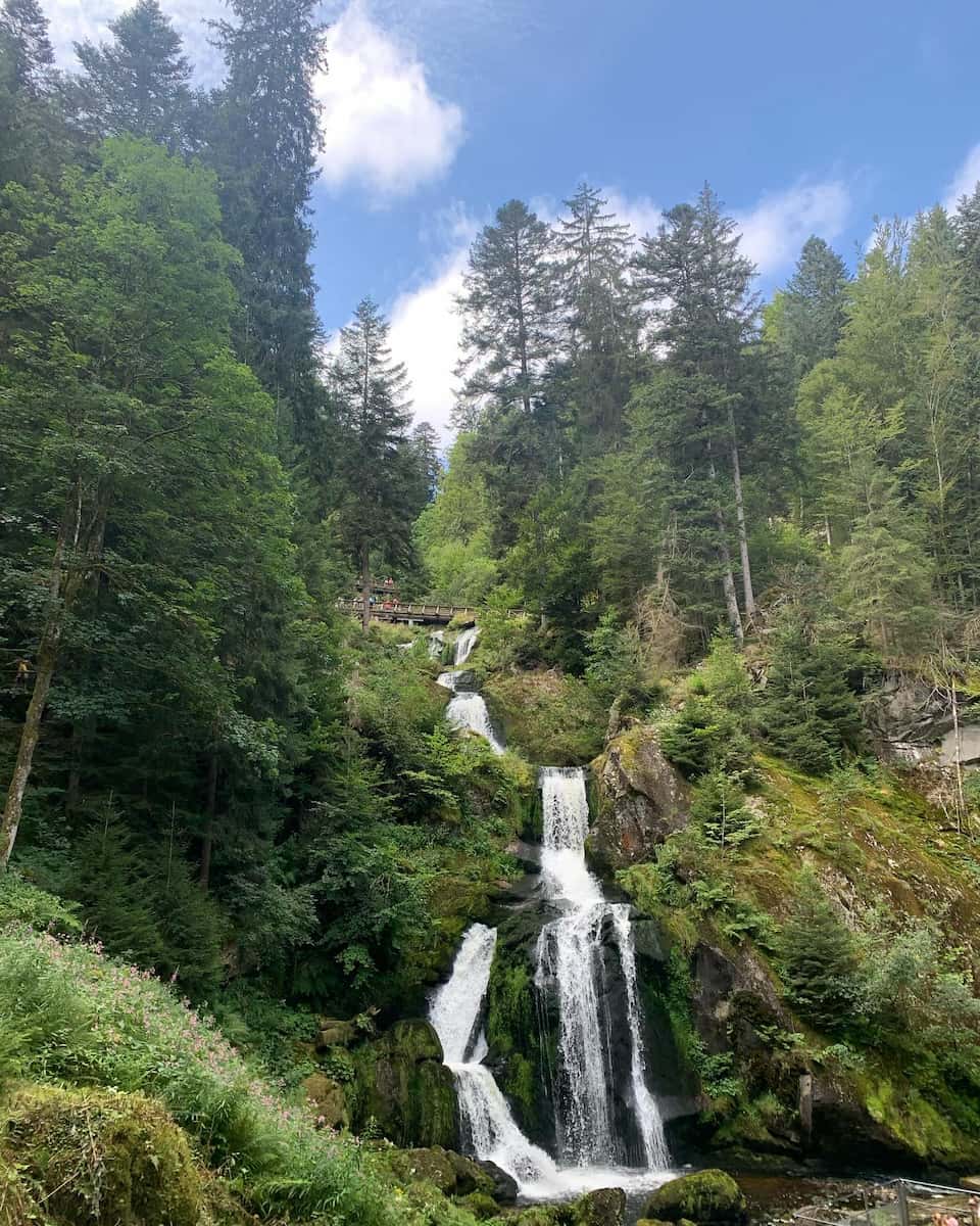 Germany, Black Forest: Titisee Germany, Black Forest: Titisee