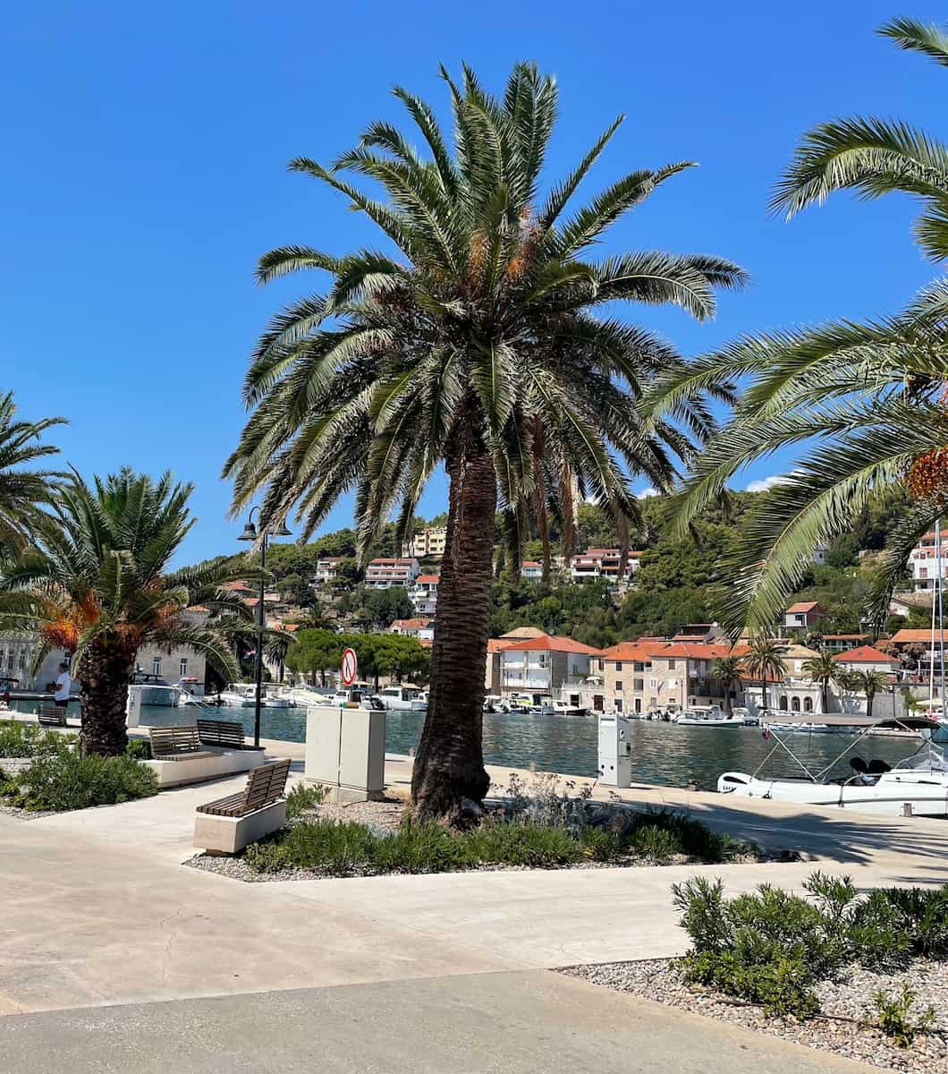 Hvar_Island_Jelsa_Park4