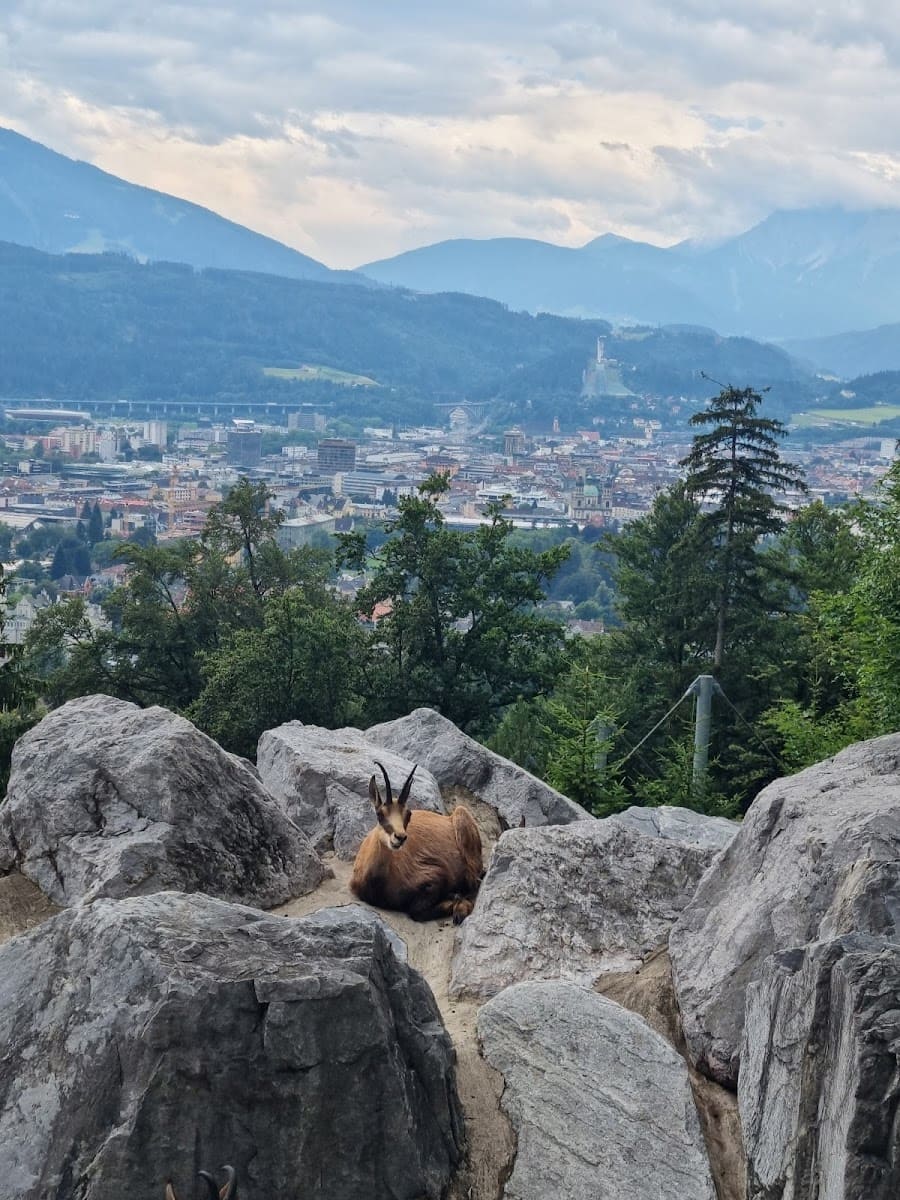 Innsbruck, Alpenzoo Innsbruck, Alpenzoo