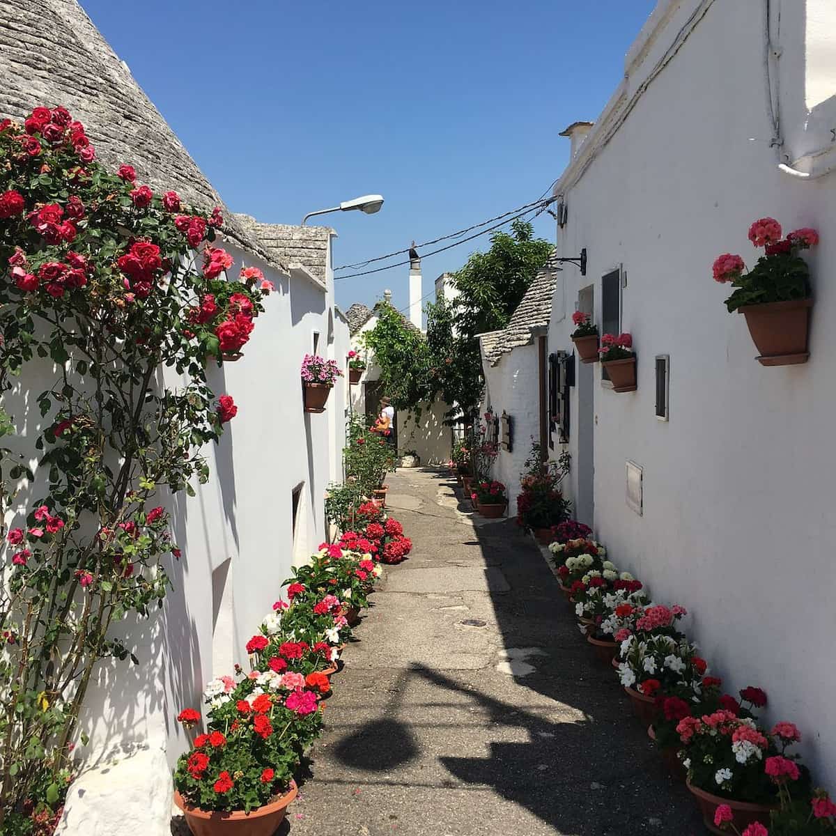 Italy, Puglia Italy, Puglia