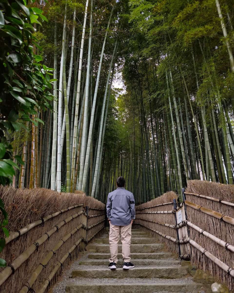 Kyoto, Arashiyama, boschetto di bambù