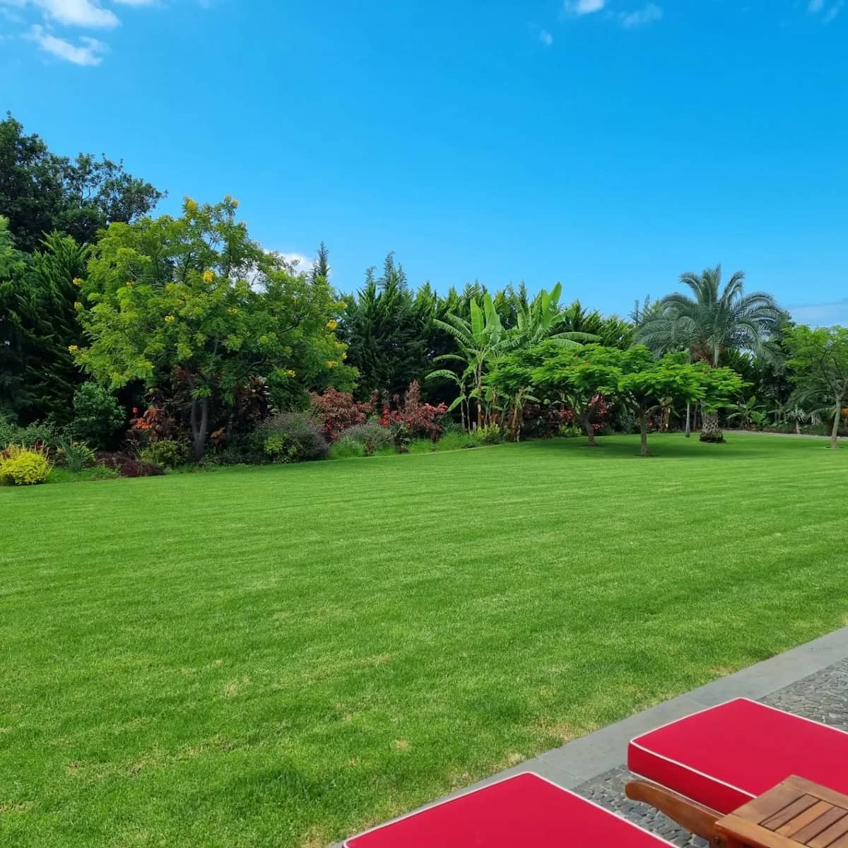 Madeira, Funchal: São Pedro Madeira, Funchal: São Pedro