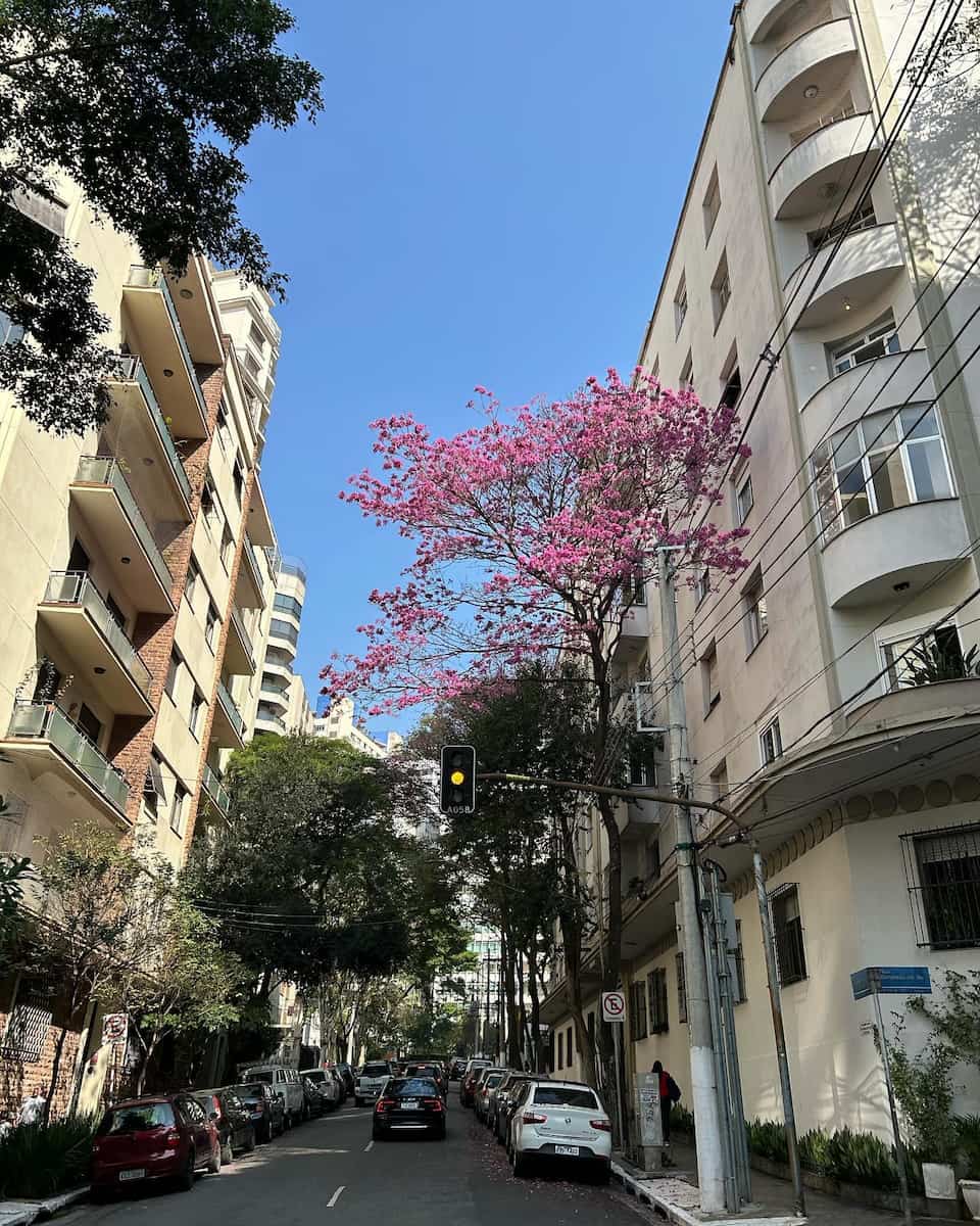 São Paulo, Higienópolis São Paulo, Higienópolis