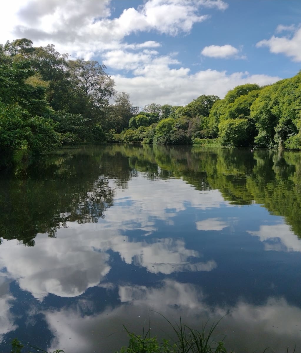 São Paulo, Jardins São Paulo, Jardins