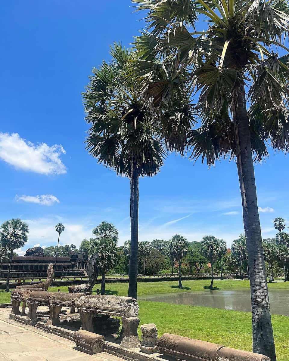 Siem Reap: Old Market Area Siem Reap: Old Market Area