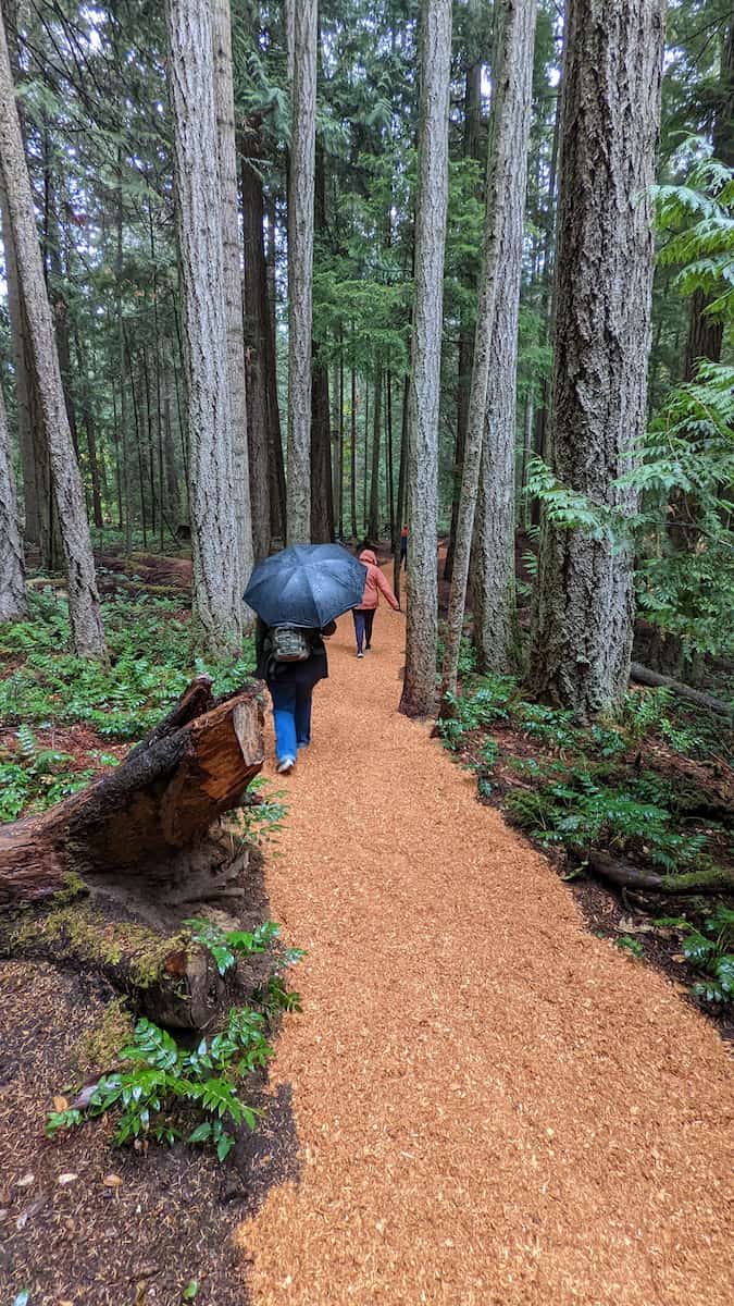 Vancouver Island, Heritage Forest