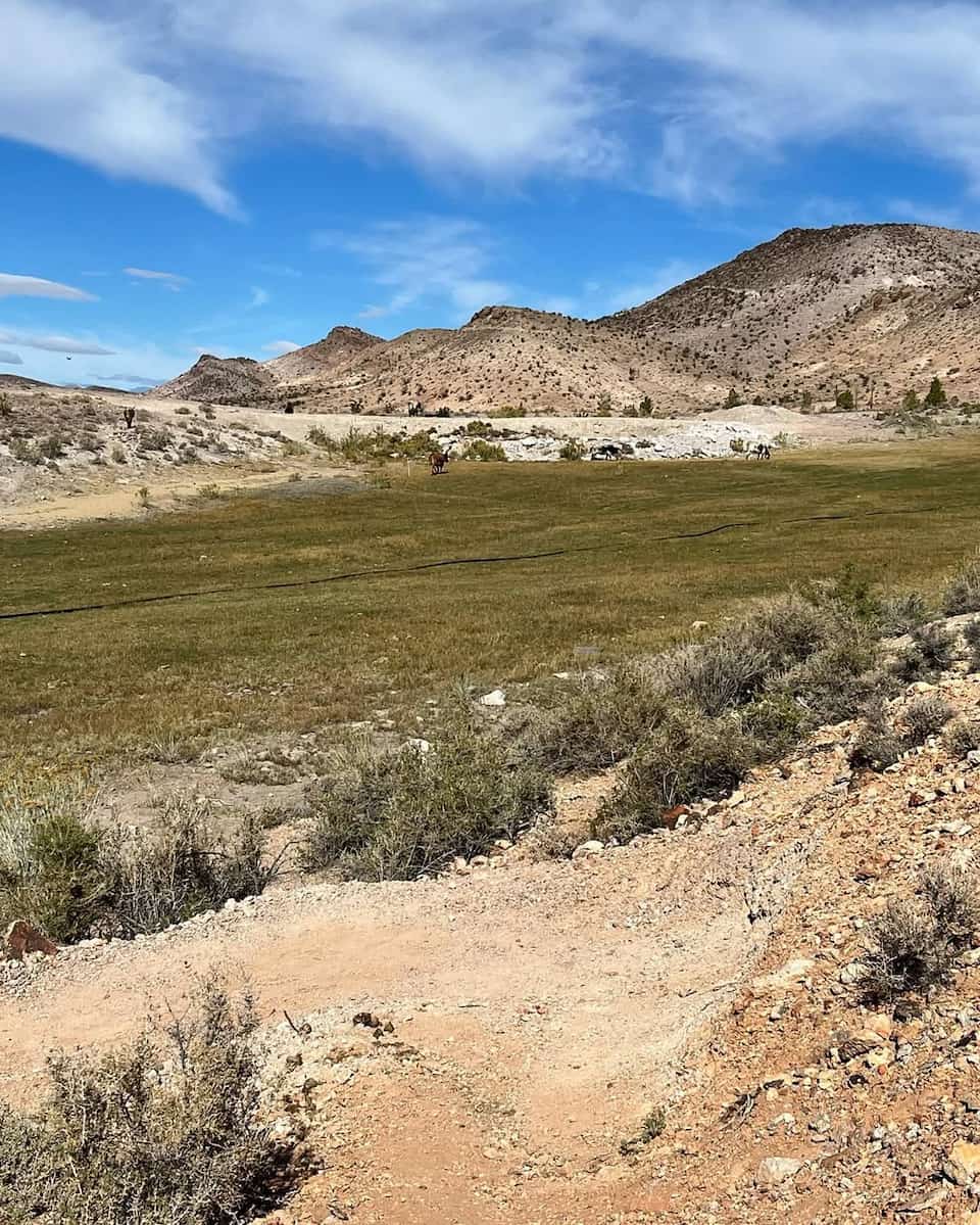 Beatty, Nevada, Death Valley National Park Beatty, Nevada, Death Valley National Park