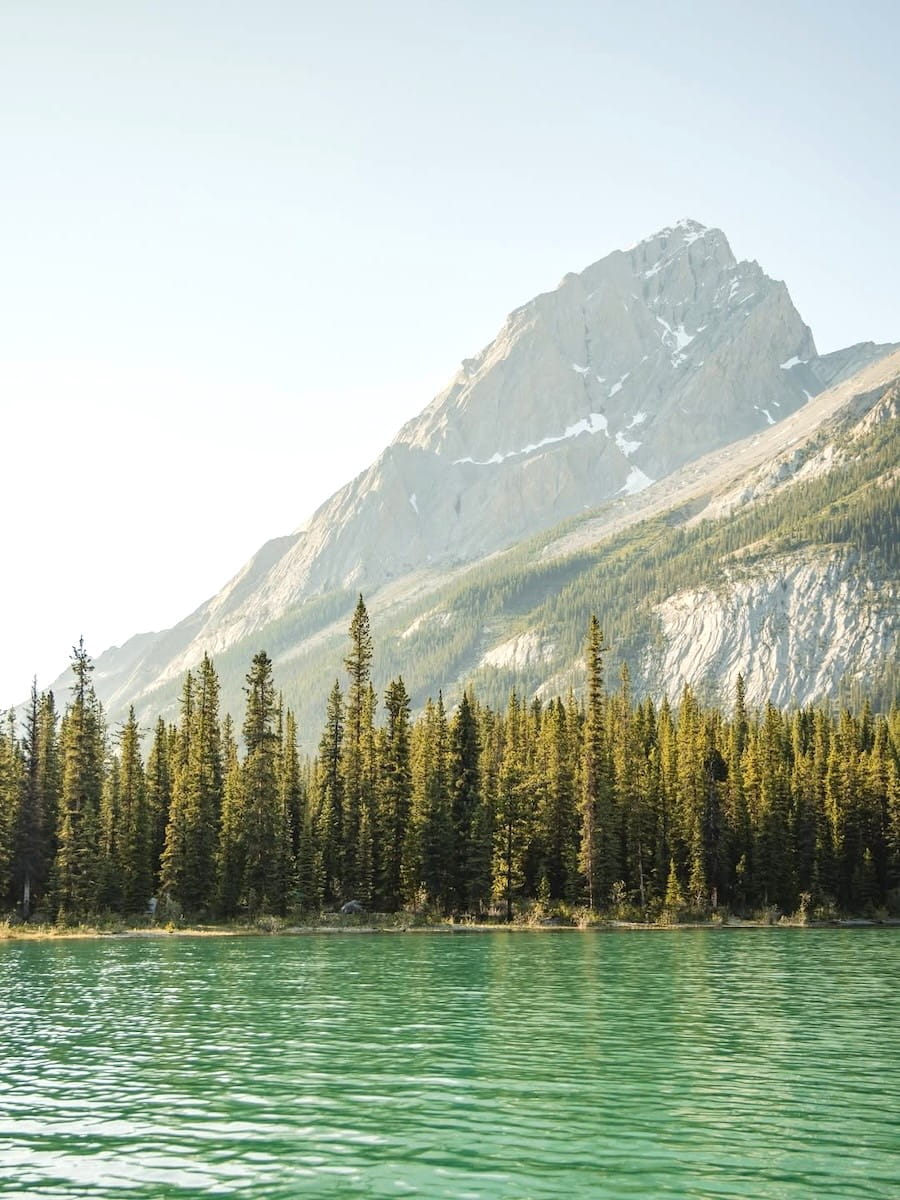 Downtown Jasper Downtown Jasper