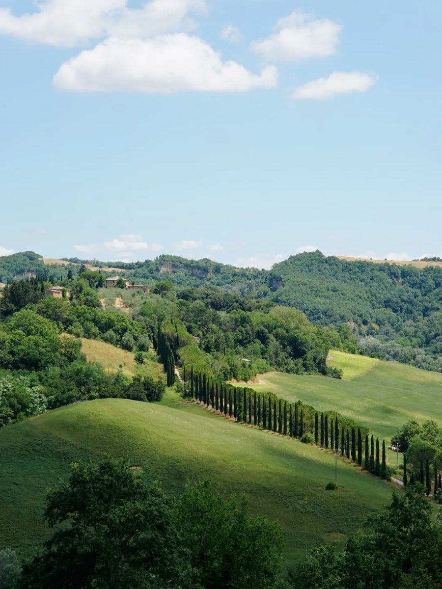 Istrice District, Siena Istrice District, Siena