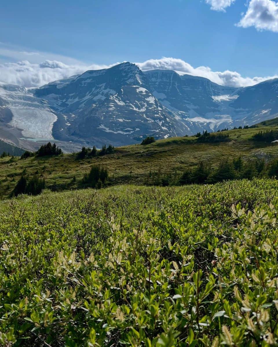Maligne Lake Road Maligne Lake Road