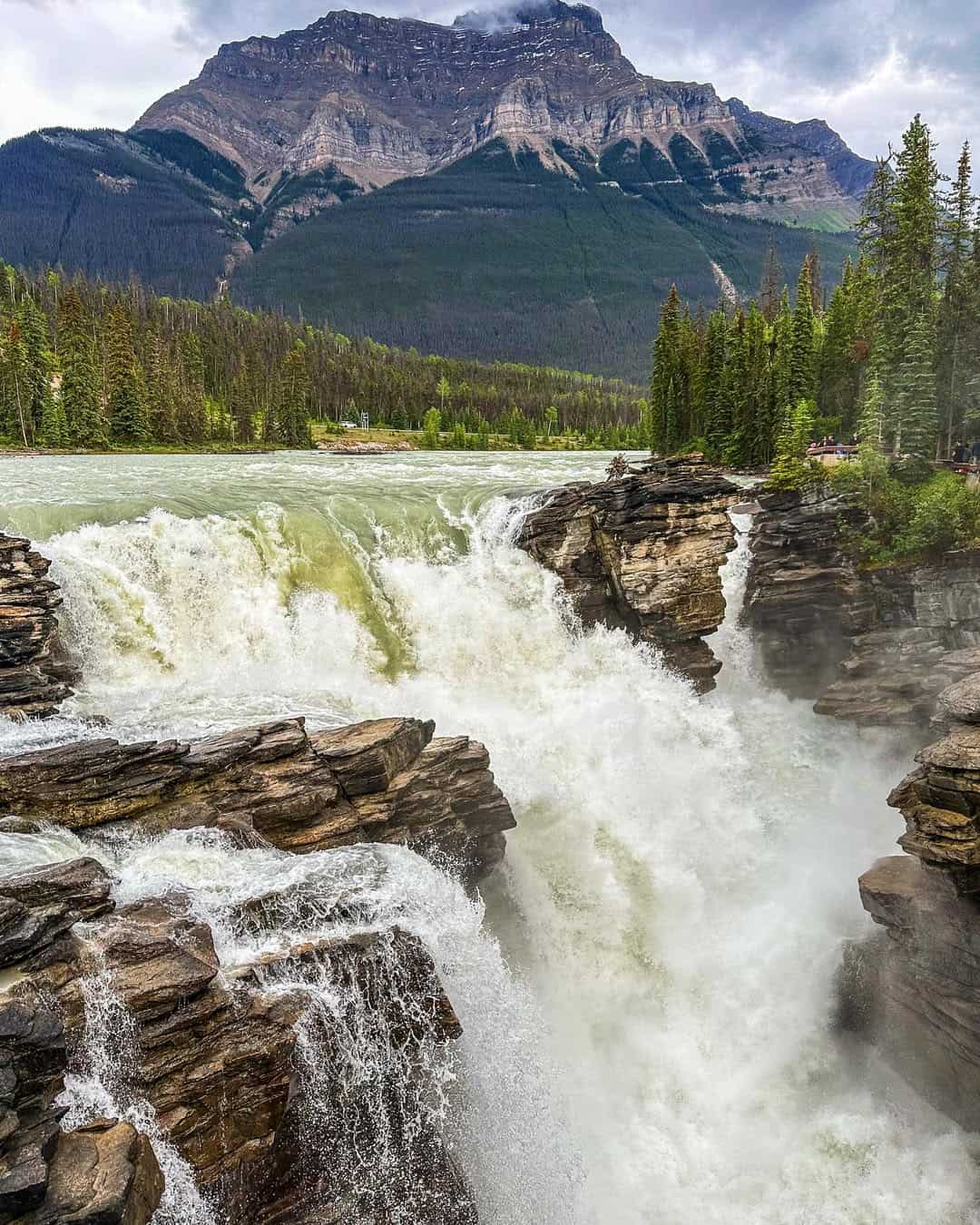 Miette Hot Springs Area Miette Hot Springs Area