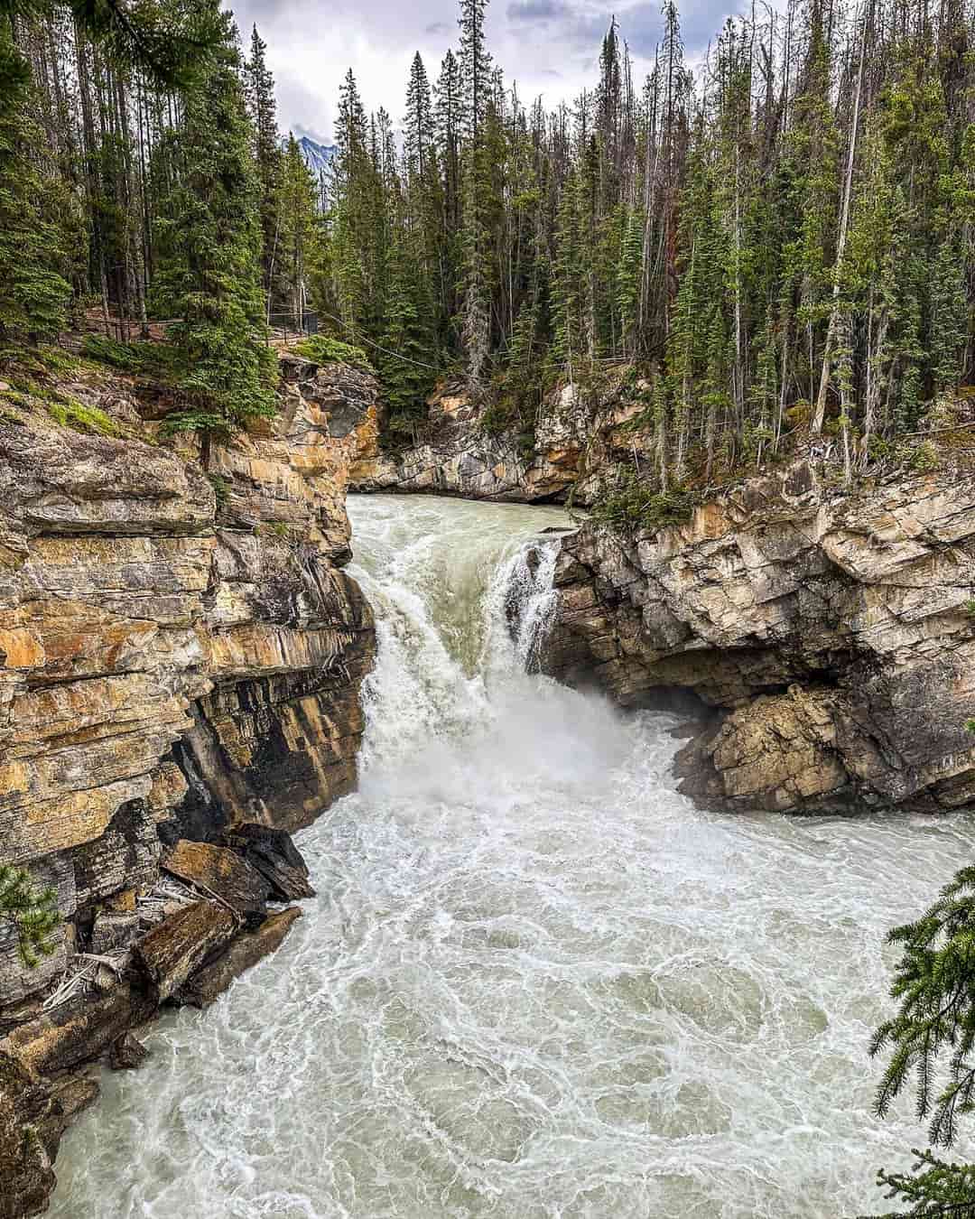 Miette Hot Springs Area Miette Hot Springs Area